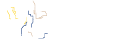 Brain training institute